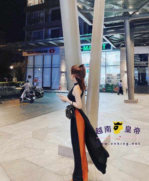 胡志明市商務伴遊-米雪兒